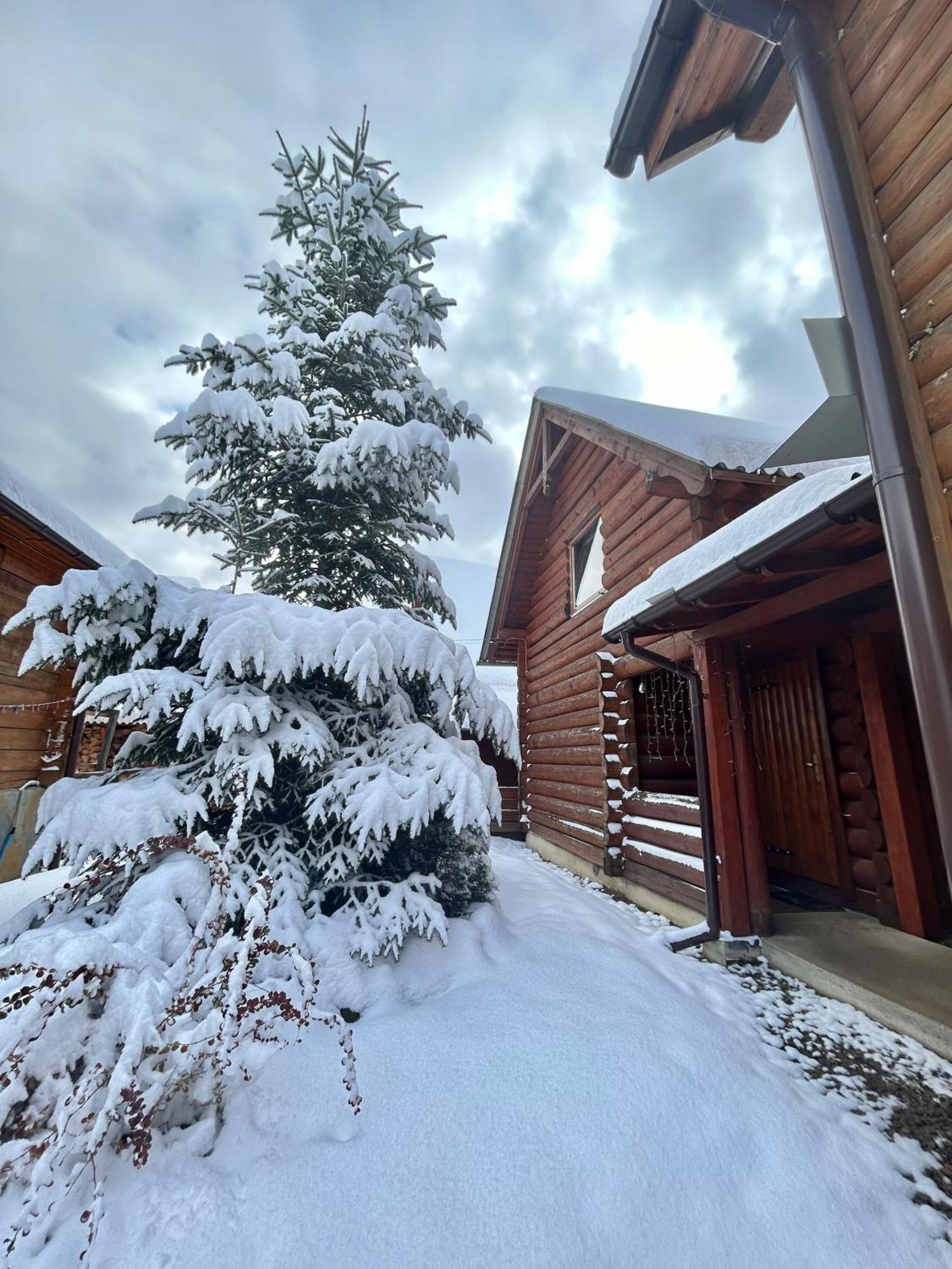 Guest House Kaspiy Bukoveľ Exteriér fotografie